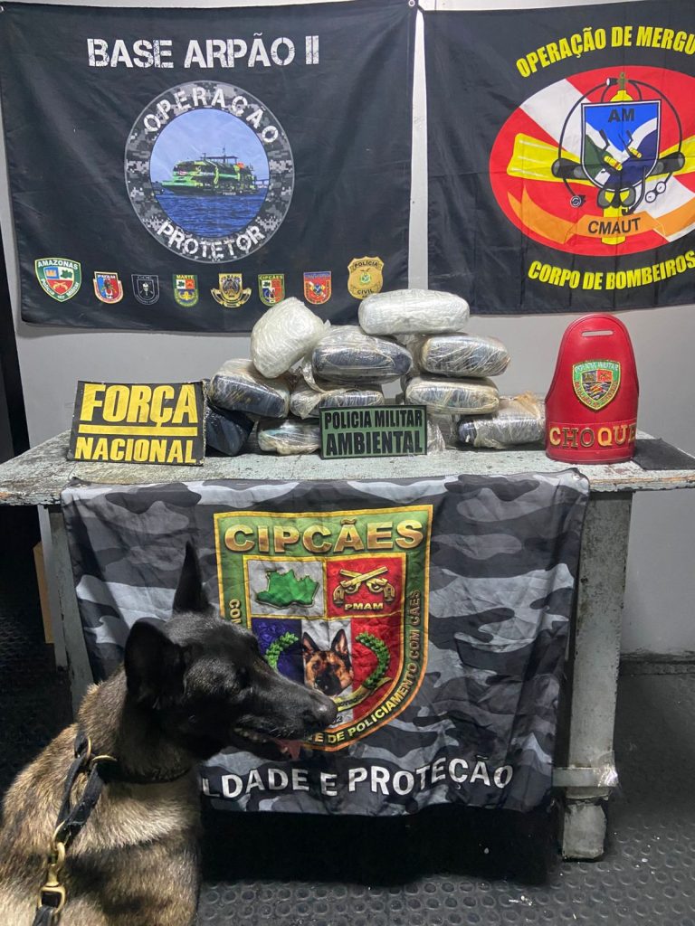 Atuação do cão Athena resulta na localização de 11 kg de skunk e na prisão de mulher